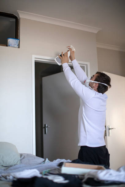Best Mold Damage Restoration  in Pomona, NY