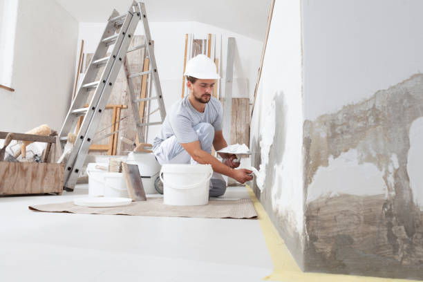 Best Mold-Related Health Consultation  in Pomona, NY