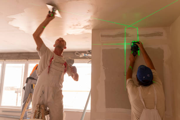 Best Basement Mold Removal  in Pomona, NY