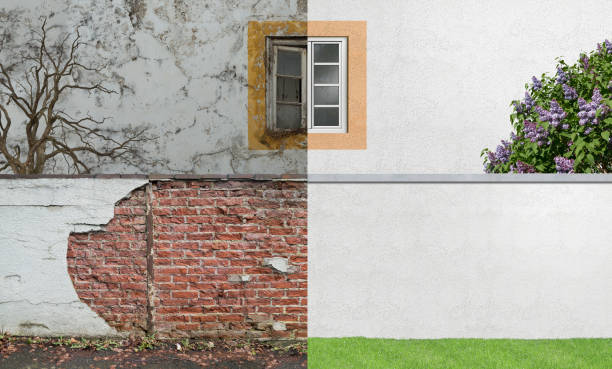  Pomona, NY Mold Removal Pros