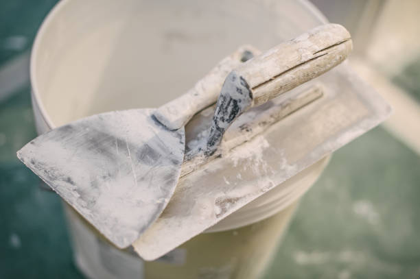 Best Environmental Consulting for Mold Prevention  in Pomona, NY