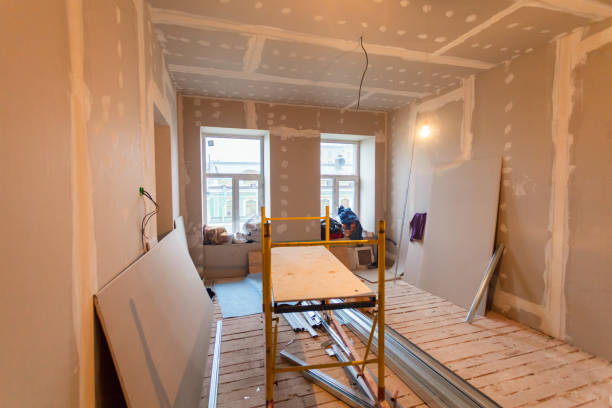 Best Attic Mold Removal  in Pomona, NY